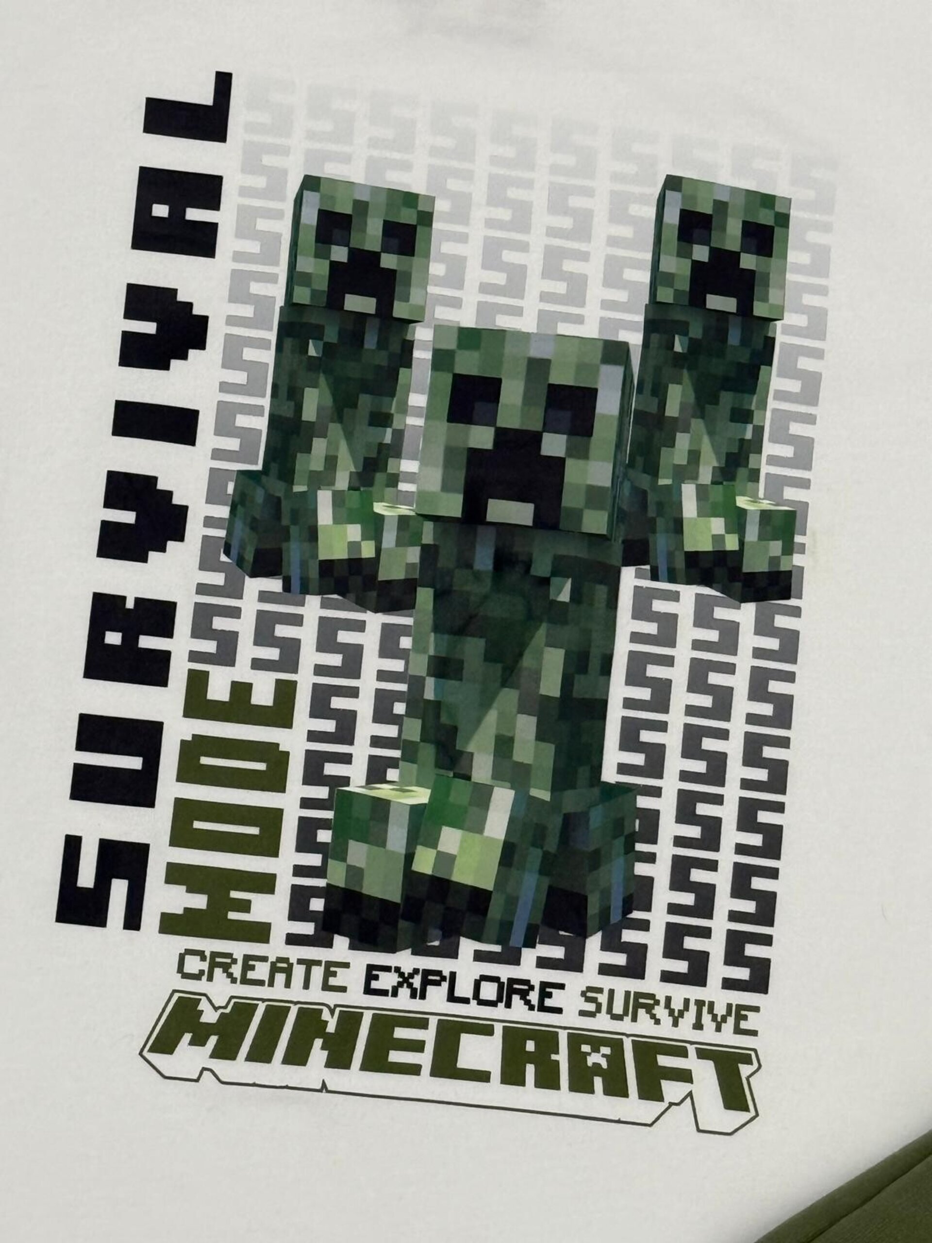 Conjunto minecraft - 2